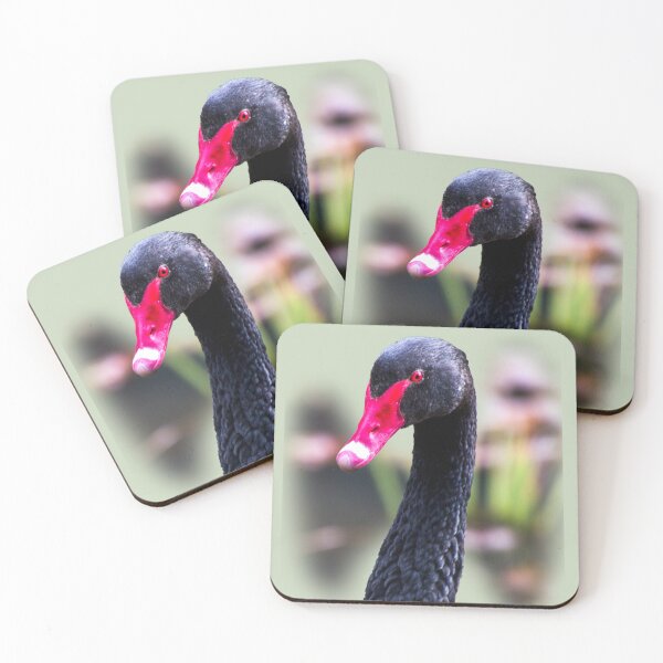 Item preview, Black swan designed and sold by indiafrankk.