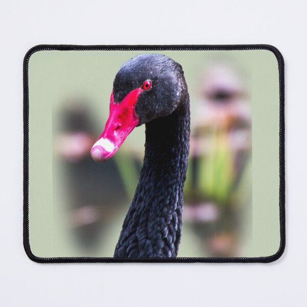 Item preview, Black swan designed and sold by indiafrankk.