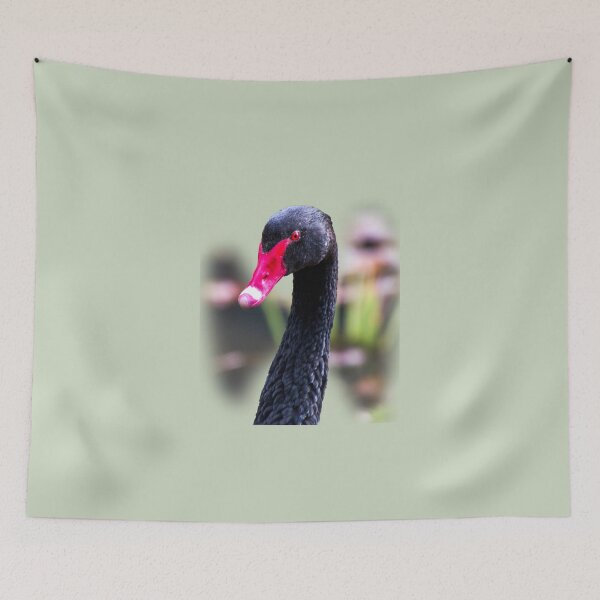 Item preview, Black swan designed and sold by indiafrankk.