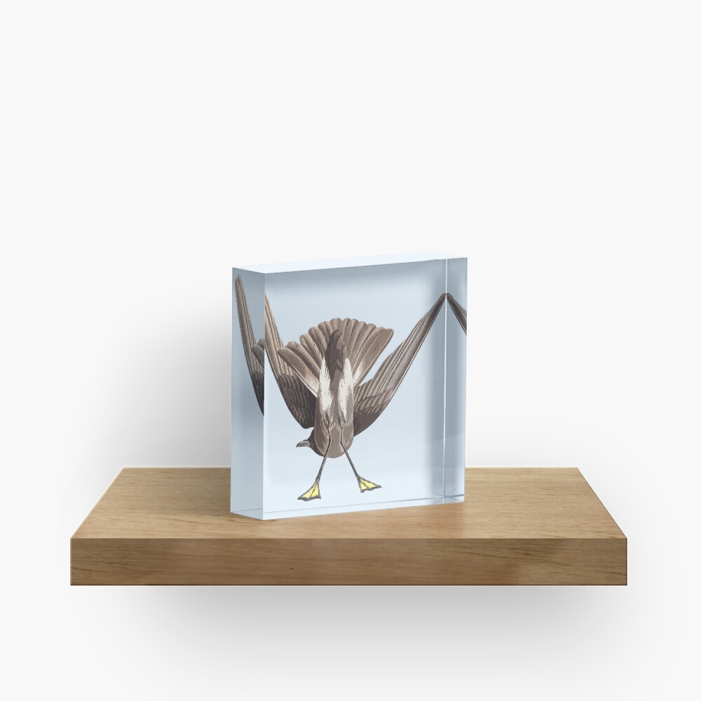 Bottoms Up Acrylic Block