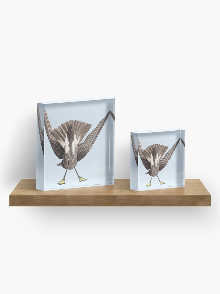 Alternate view of Bottoms Up Acrylic Block
