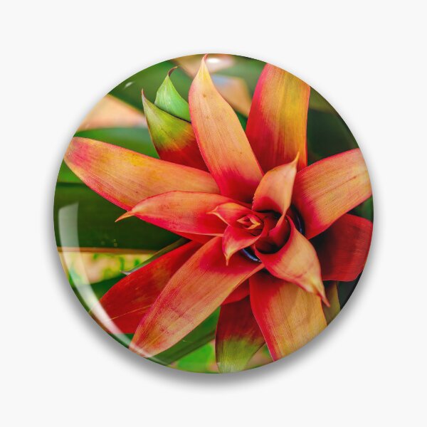 Item preview, The Bromeliad designed and sold by Kay Brewer.
