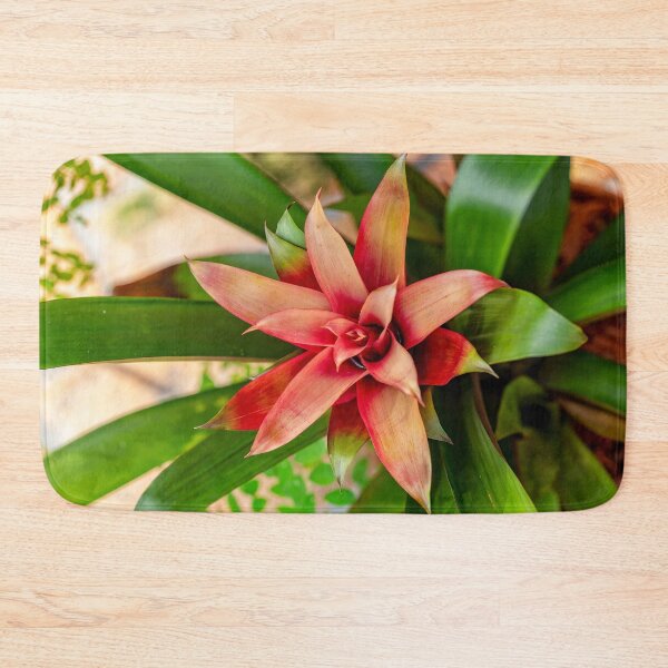Item preview, The Bromeliad designed and sold by Kay Brewer.