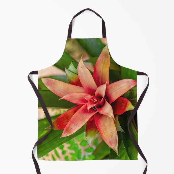 Item preview, The Bromeliad designed and sold by Kay Brewer.