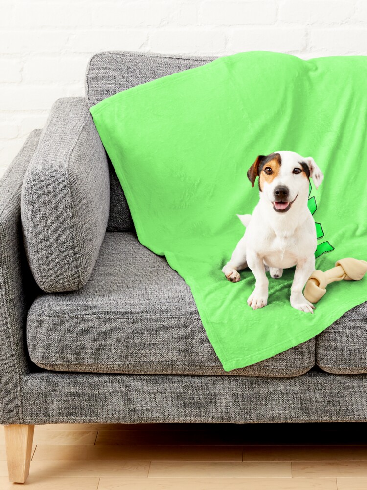 Alternate view of PMA - Positive Mental Attitude - Jacksepticeye - Font 3 Pet Blanket