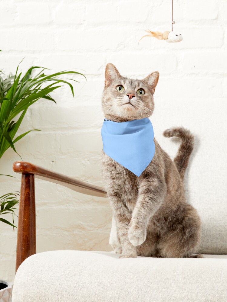 Alternate view of In My Defense... Pet Bandana