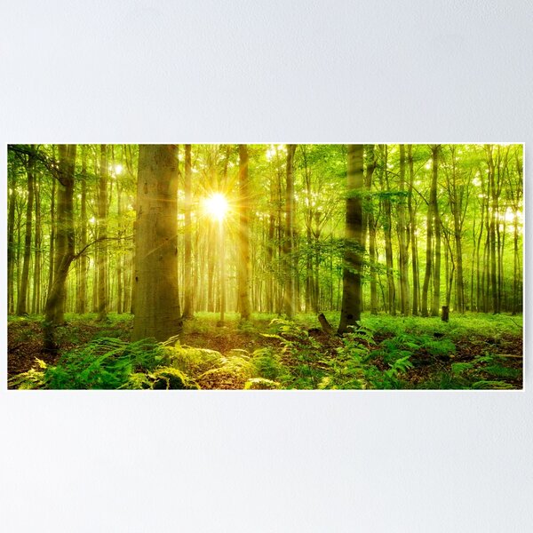 Item preview, Beech Trees in the Forest designed and sold by Ade-Mercury.