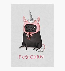 Lámina fotográfica Pugicornio