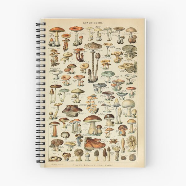 Item preview, Mushrooms Chart - Adolphe Millot designed and sold by AlleghenyDesign.