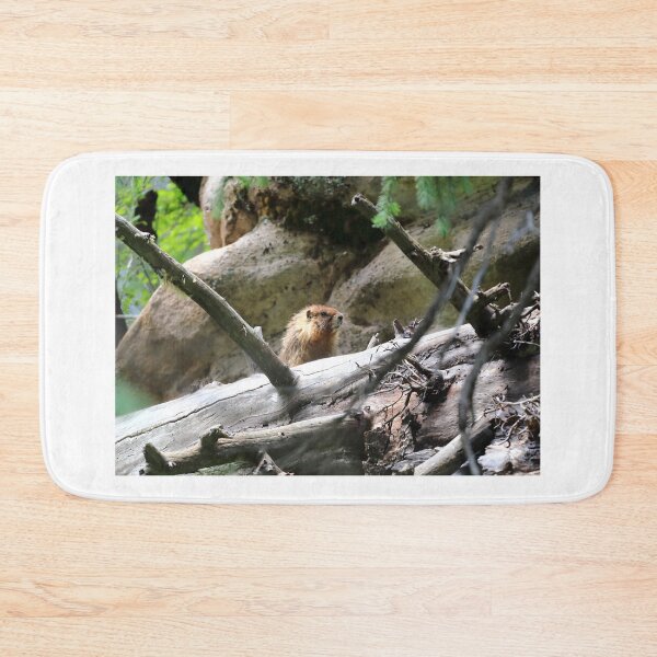 Item preview, Marmot view designed and sold by zumi.