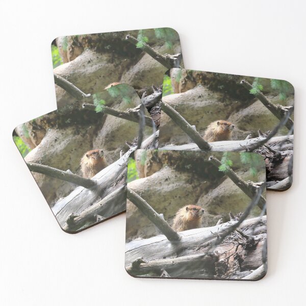 Item preview, Marmot view designed and sold by zumi.