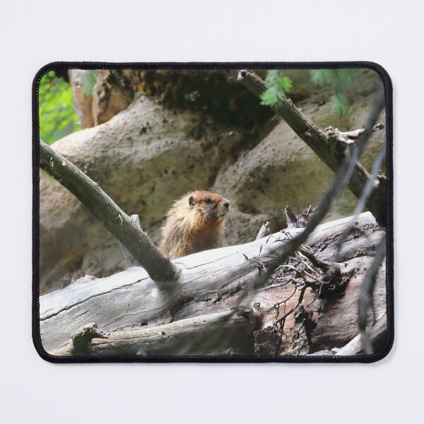 Item preview, Marmot view designed and sold by zumi.