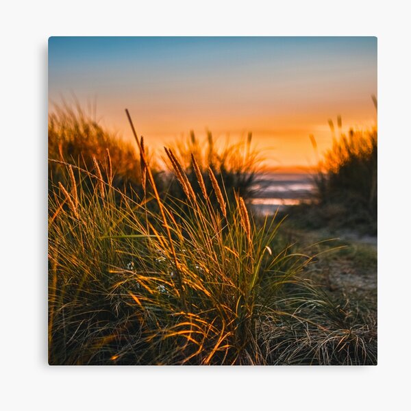 Item preview, Path To The Beach designed and sold by Taceo10.