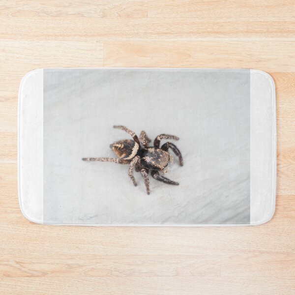 Item preview, Jumping spider designed and sold by SDym Photography.