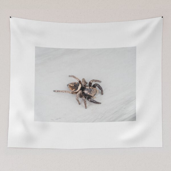 Item preview, Jumping spider designed and sold by SDym Photography.