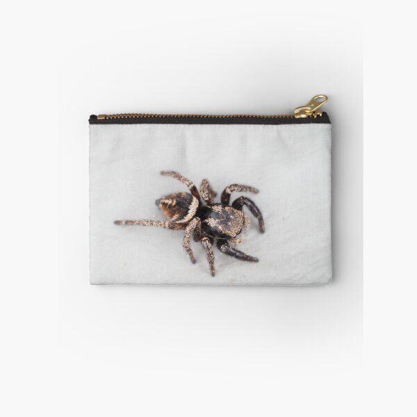 Item preview, Jumping spider designed and sold by SDym Photography.