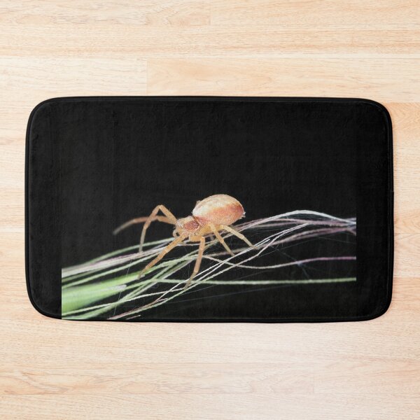 Item preview, Small crab spider designed and sold by SDym Photography.