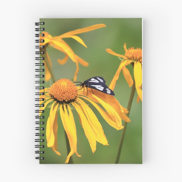 Item preview, Moth on a flower designed and sold by zumi.