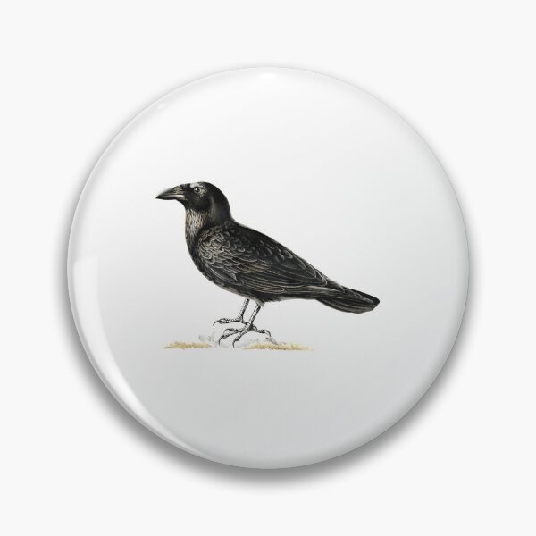 Item preview, Corvo Noite de Halloween designed and sold by Meditanacor.