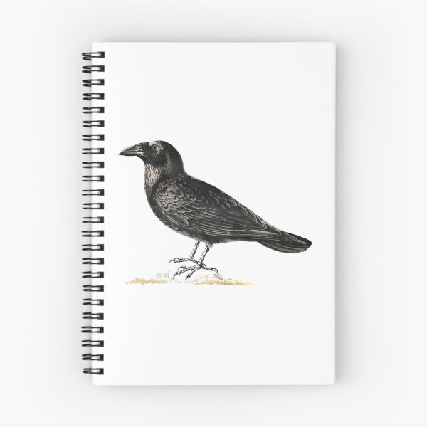 Item preview, Corvo Noite de Halloween designed and sold by Meditanacor.
