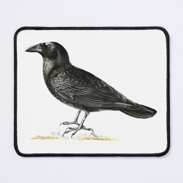 Item preview, Corvo Noite de Halloween designed and sold by Meditanacor.