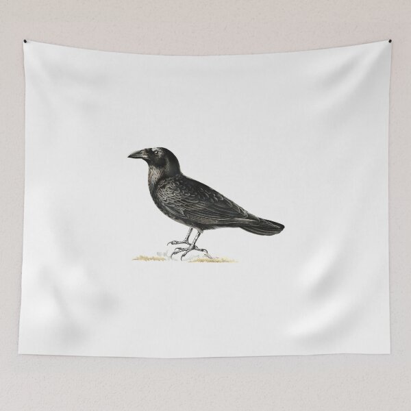 Item preview, Corvo Noite de Halloween designed and sold by Meditanacor.