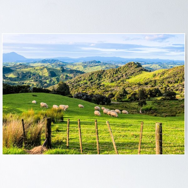 Item preview, New Zealand Landscape 4 designed and sold by stylebytara.