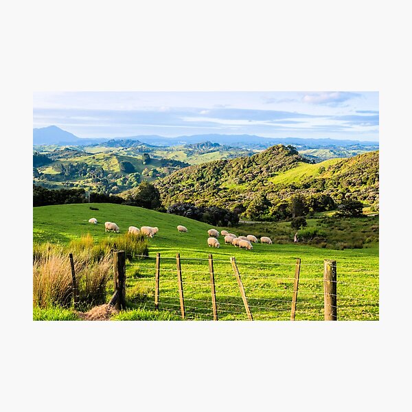 Item preview, New Zealand Landscape 4 designed and sold by stylebytara.
