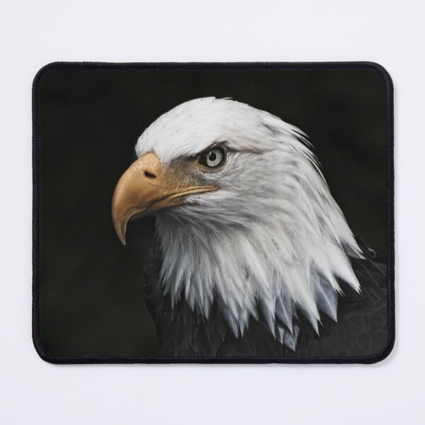 Item preview, Bald Eagle designed and sold by Alex Preiss.