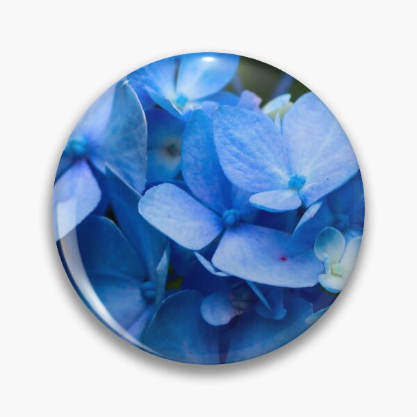 Item preview, Blue Hydrangeas  designed and sold by KaitLouise.