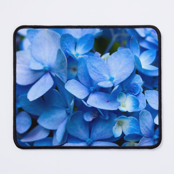 Item preview, Blue Hydrangeas  designed and sold by KaitLouise.