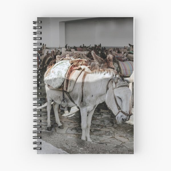 Item preview, Harnessed donkeys are waiting for tourists designed and sold by EG Creativity Art.