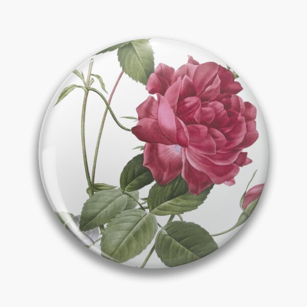 Item preview, Vintage Blood-Red Bengal Rose Botanical Illustration designed and sold by DinoCatastrophe.