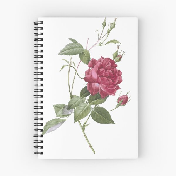 Item preview, Vintage Blood-Red Bengal Rose Botanical Illustration designed and sold by DinoCatastrophe.