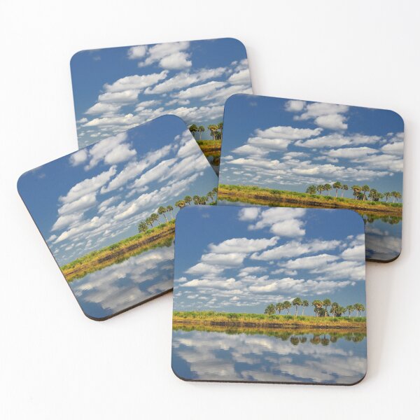 Item preview, Florida Swamp designed and sold by Brendan Buckley.