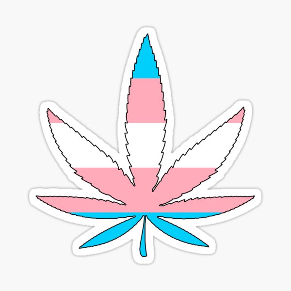 Weed - Transgender Flag Sticker