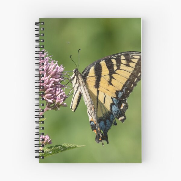 Item preview, Eastern Tiger Swallowtail Butterfly designed and sold by suburbanwilds.