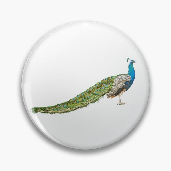 Item preview, Peacock designed and sold by Danielbowles.