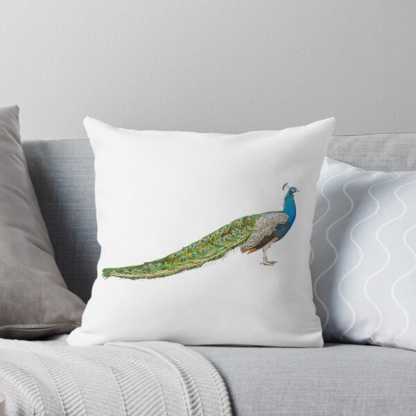 Item preview, Peacock designed and sold by Danielbowles.