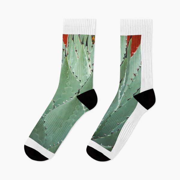 Item preview, Agave Cactus (pre-tequila) designed and sold by William E Lopez.