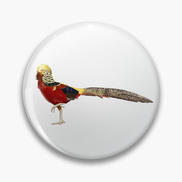 Item preview, Faisán Lady Amherst designed and sold by Danielbowles.