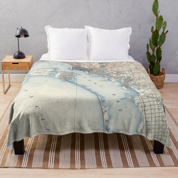 Item preview, Vintage Map of San Diego California (1902) designed and sold by BravuraMedia.