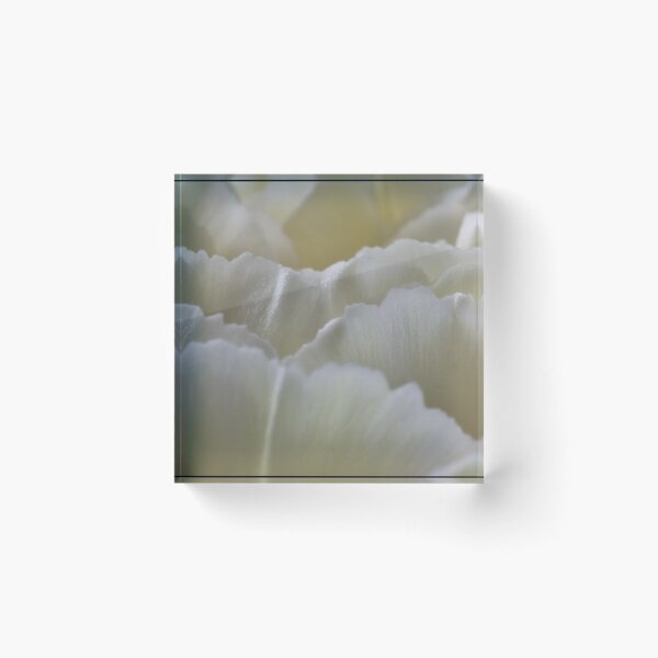 Item preview, Fragility designed and sold by 0odles.