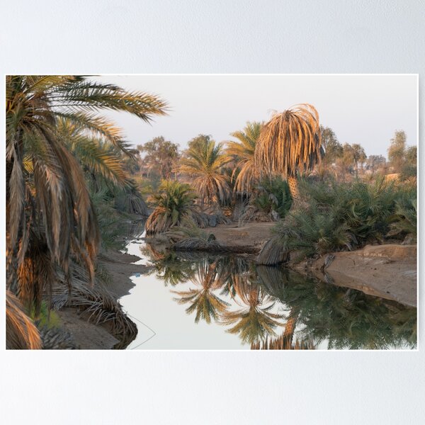 A palm oasis in the Rub al Khali, Oman Poster