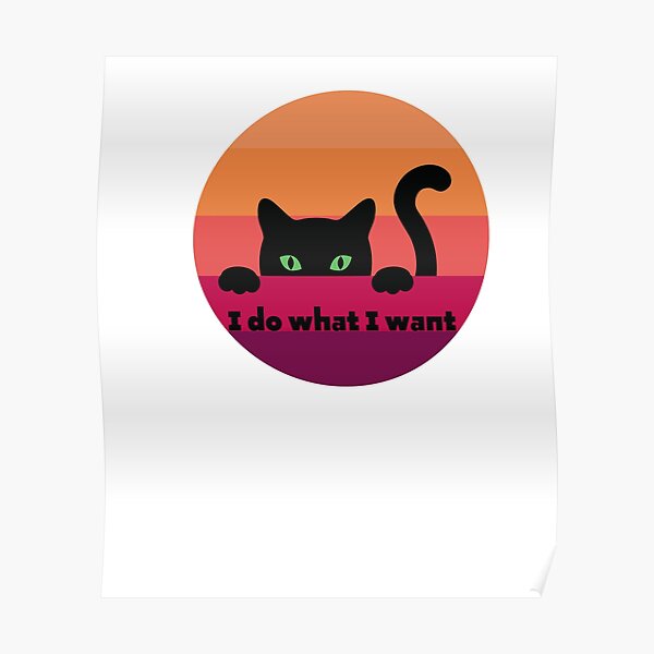I Do What I Want Cat T-shirt Sold By Bin Li | SKU 5707322 | Printerval