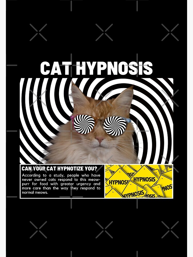 Hypno Cat Cap Two Tone