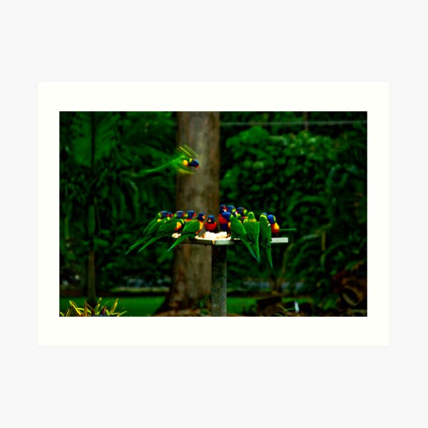 Not another bird shot! Art Print