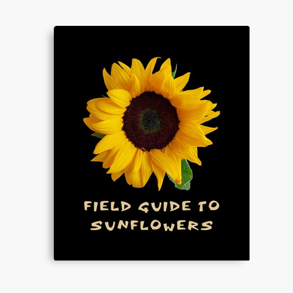 Item preview, Field Guide To Sunflowers designed and sold by The Love Quill.