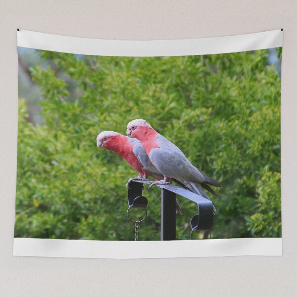 Item preview, Australian galah birds designed and sold by FranWest.