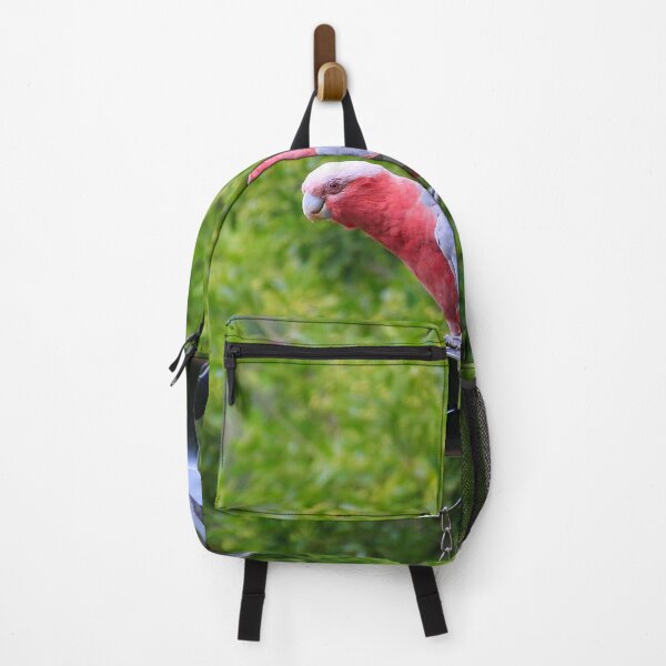 Item preview, Australian galah birds designed and sold by FranWest.